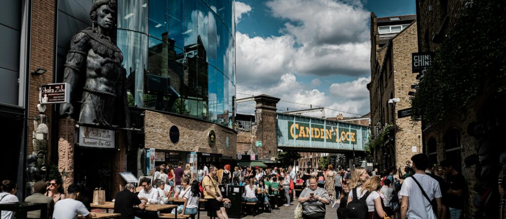 Market Presence and Popularity